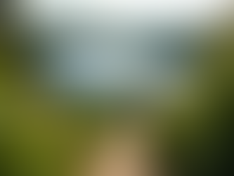 Exploring Regenerative Design for Sustainable Futures