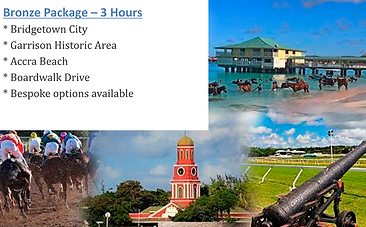 Bronze package with images.png