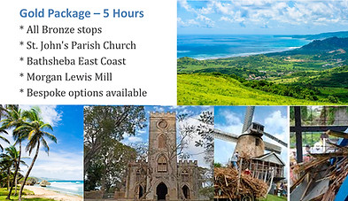 Gold package with images_edited.jpg