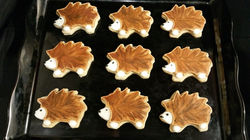 Porcupine Cookies