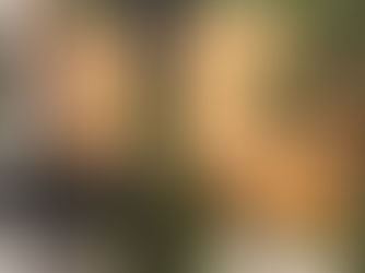 Van ontwerp tot realisatie