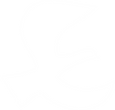 OBJET_DOVE (1).png
