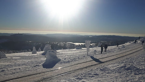 IMG-20190120-WA0056.jpg