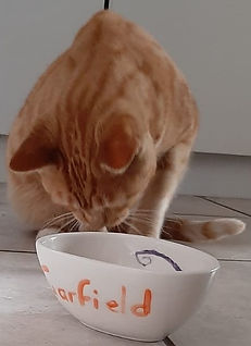 Cat Bowl, Ceramic Pet Bowl