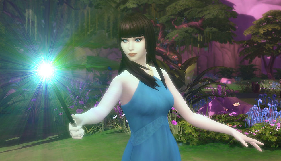 Les écoles de magie