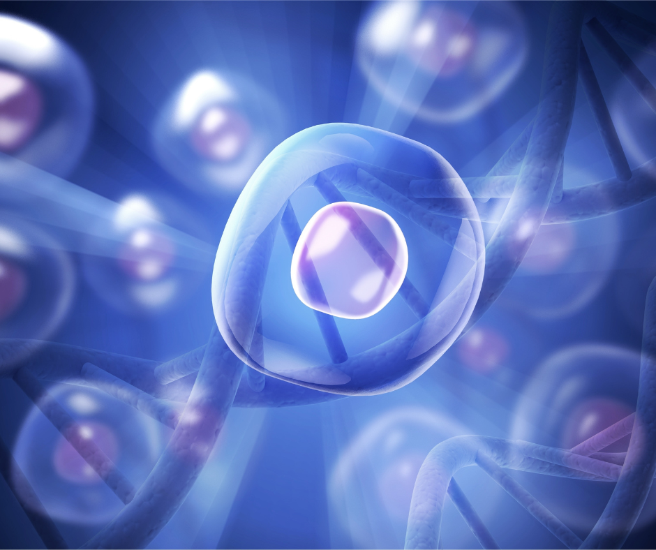 Stem Cell Therapy With Exosomes