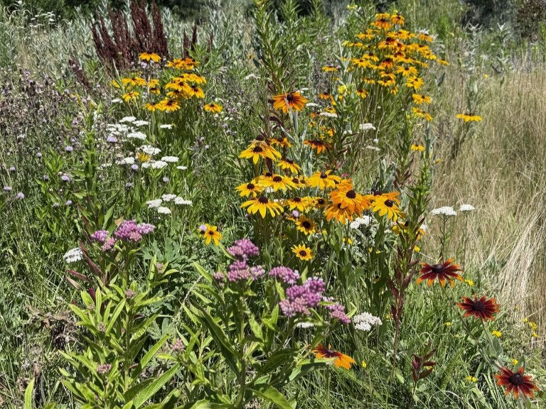 Valley Wood Wildlife Gardens Tour