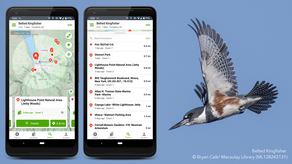 Birds of Truckee Meadows - eBird and Digital Birding Tools