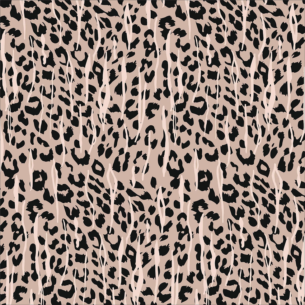 194538972_390098405625490_67841185883255