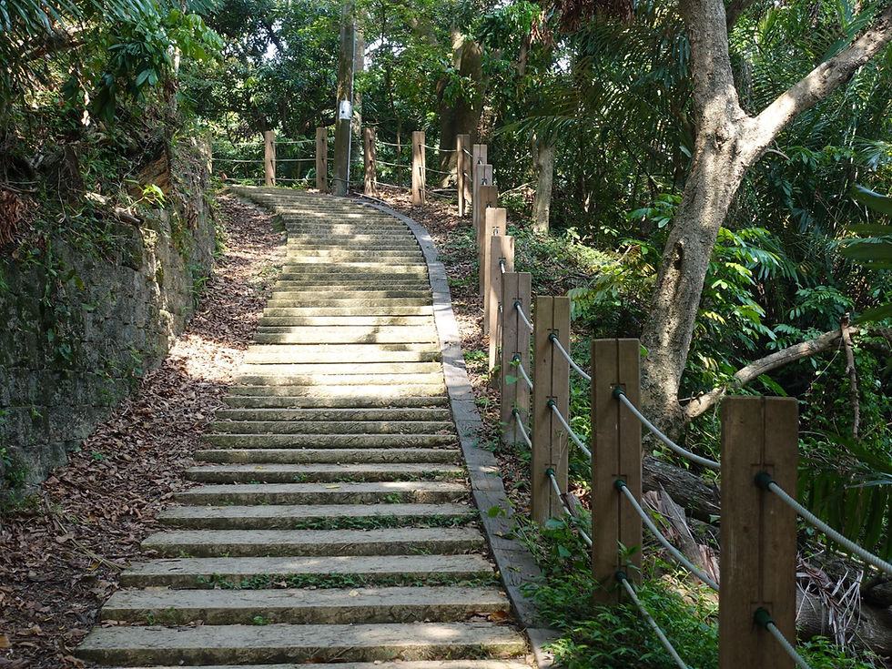 縮圖：RC欄杆-木紋面(三繩索)