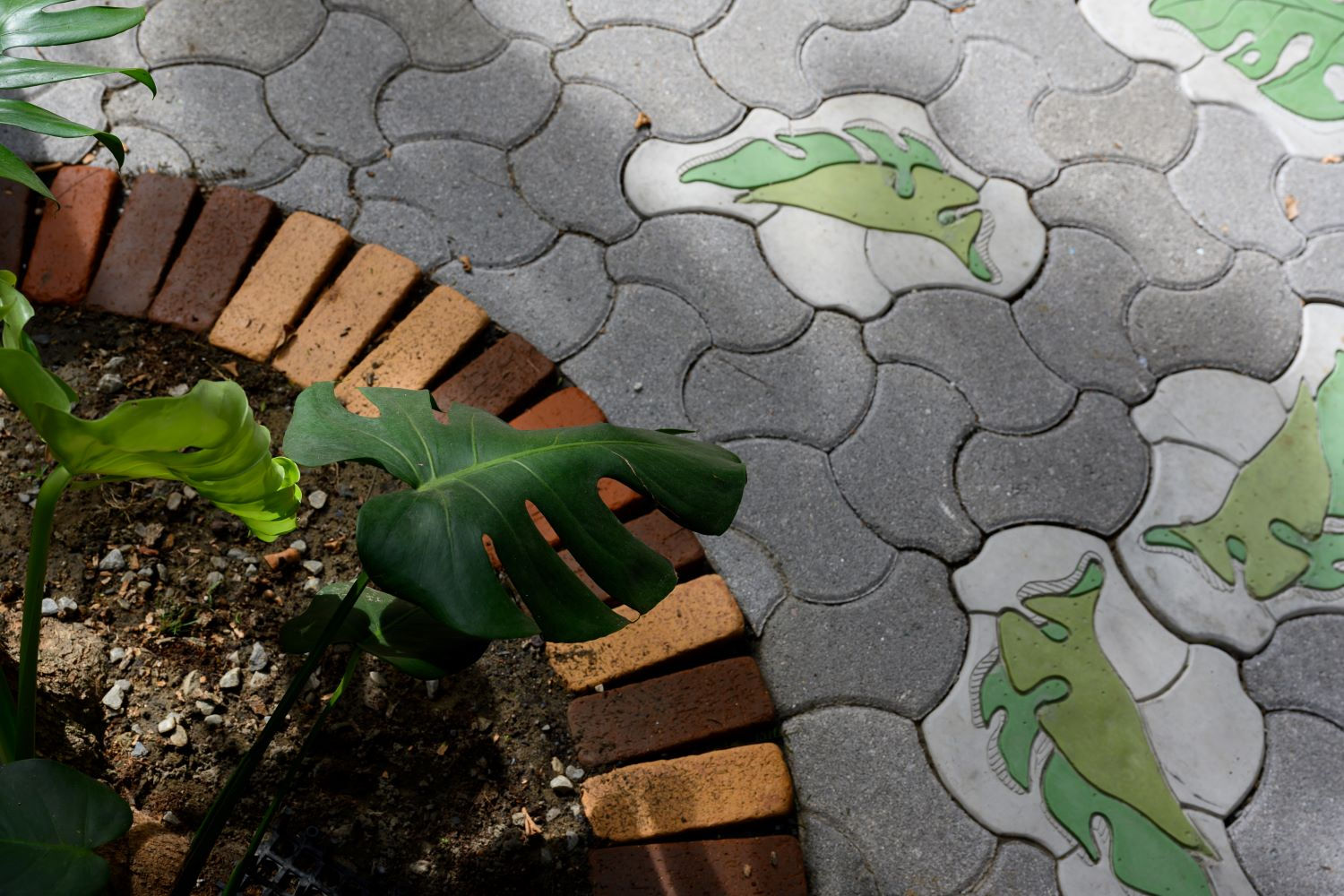 組合磚-森巴森巴