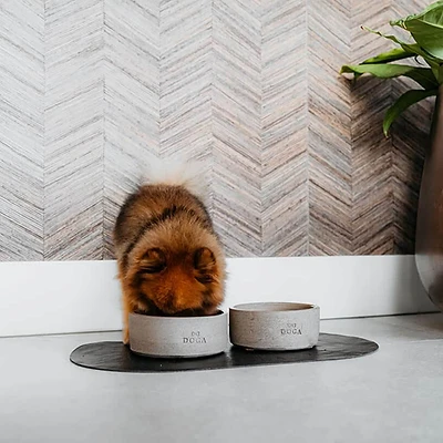 DOGA Beton Hundenapf Handgemacht für kleine & mittelgroße Hunde