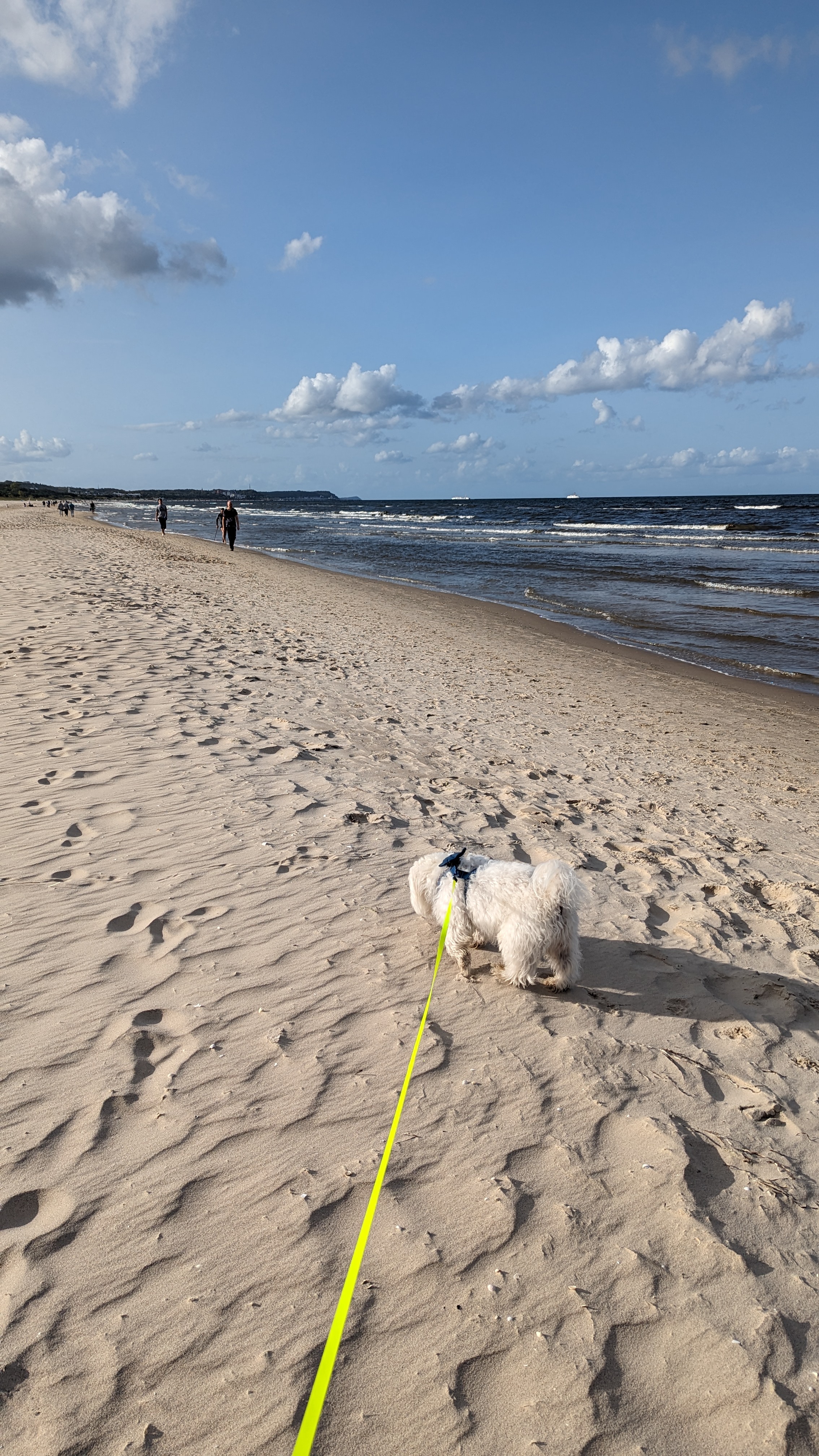 swinemünde strand