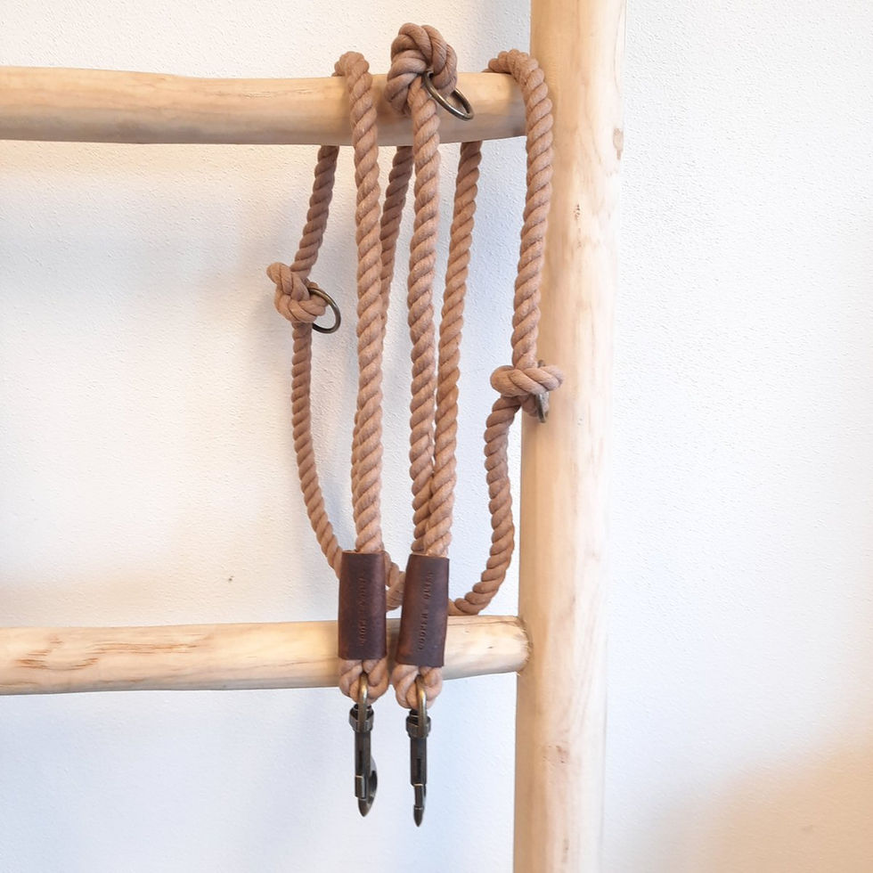 Tauleine von Cooper & Quint hängt über einer Leiter