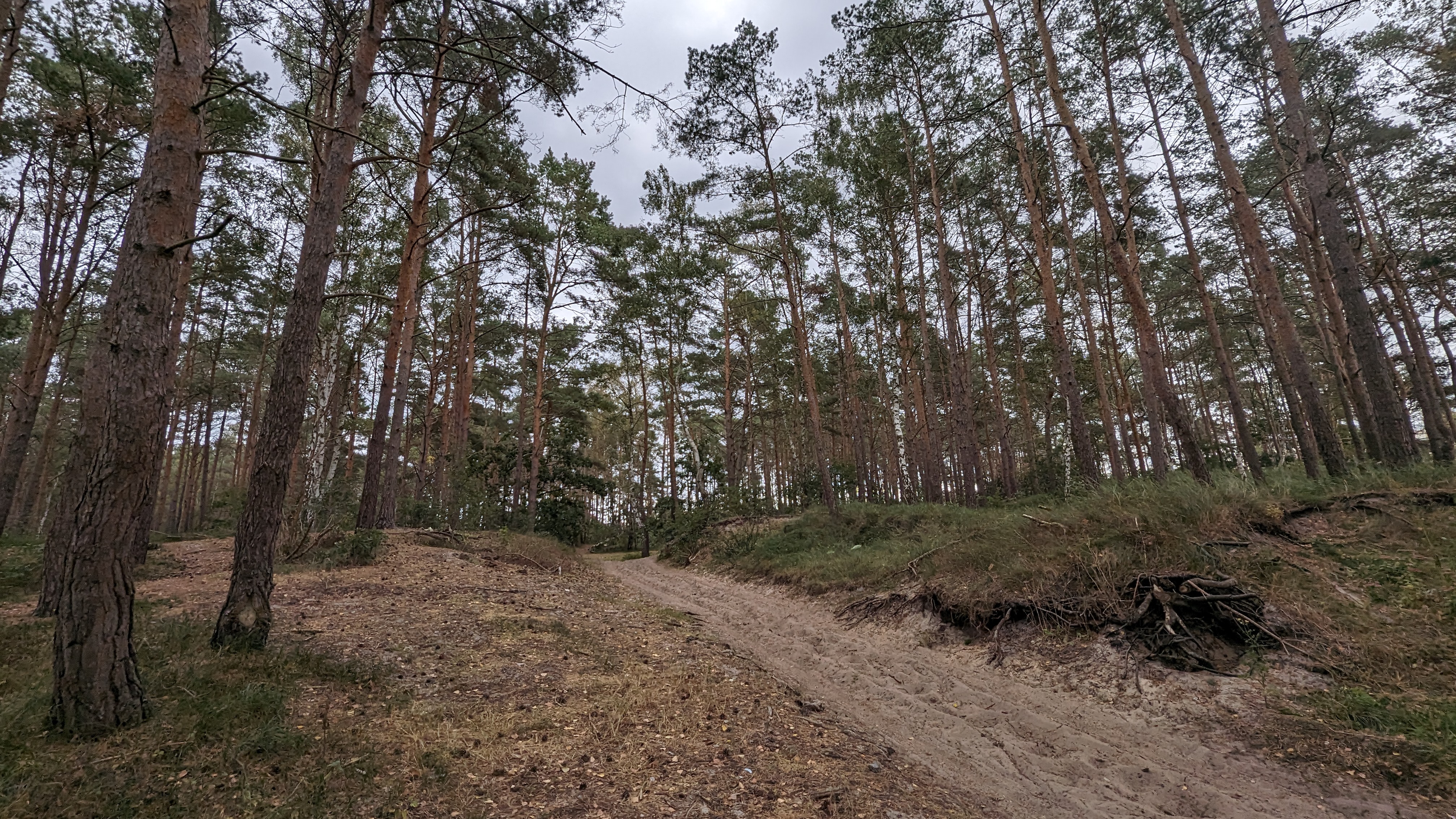 Kleine Wälder laden ein zum Gassigehen.