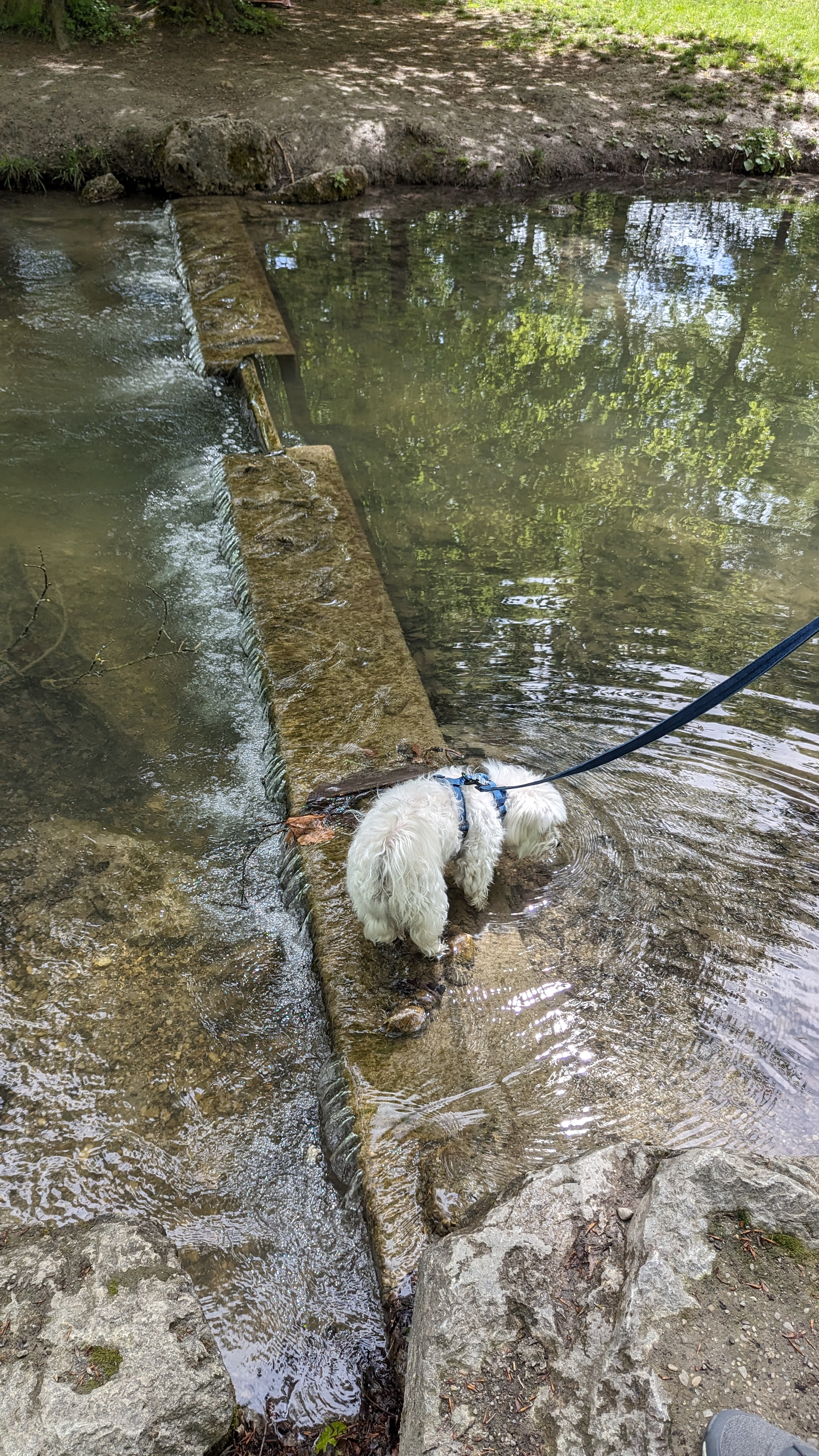 Englischer Garten München