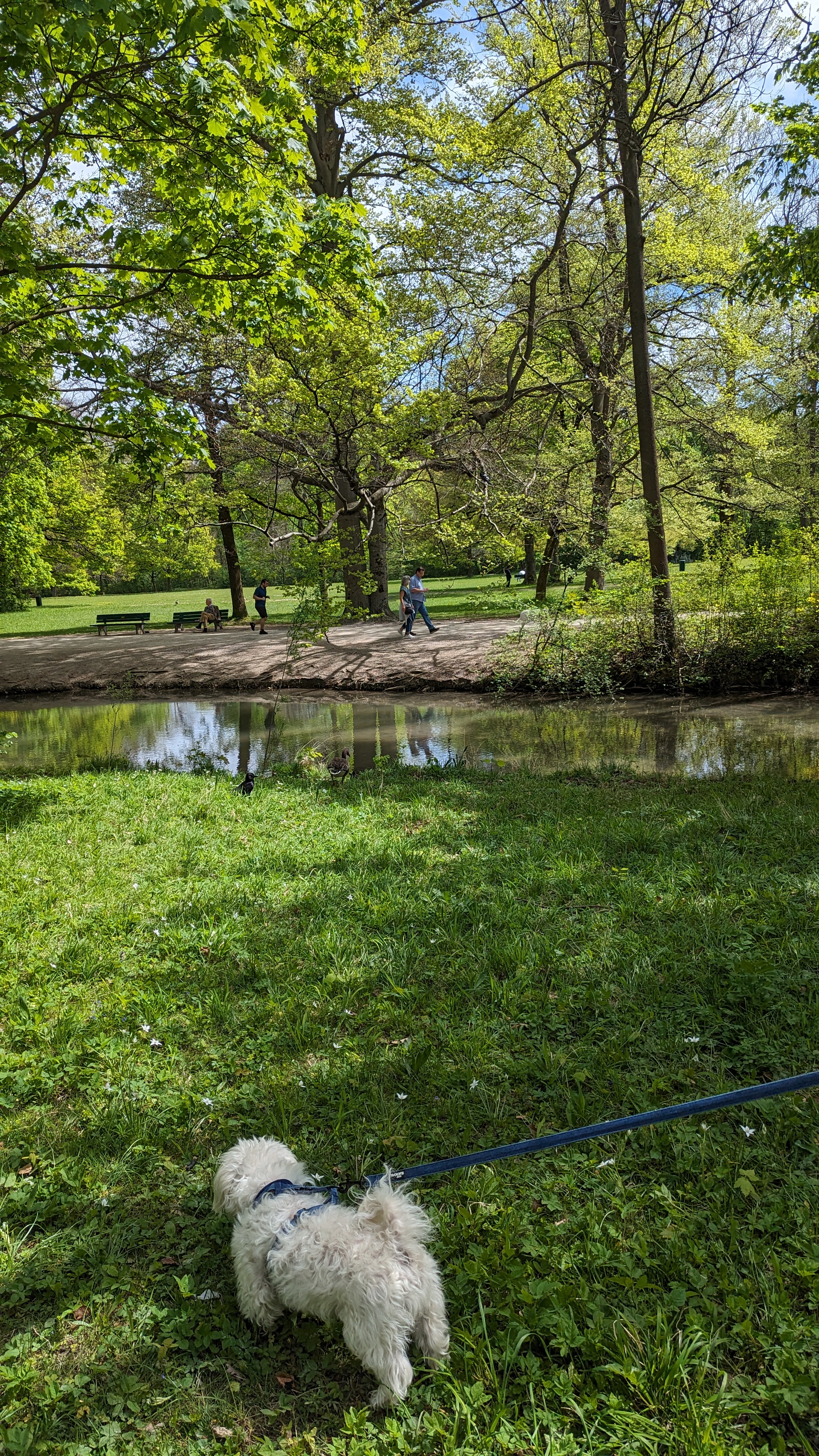 Englischer Garten München mit Bobby