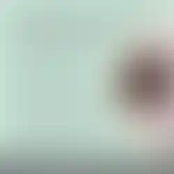 Keine chemischen Zusatzstoffe im Spot On für Hunde von Noms+