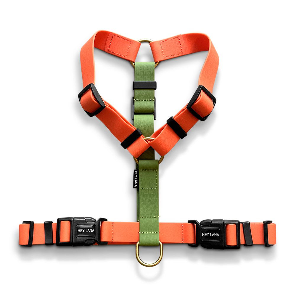 Hey Lana | Biothane Hundegeschirr