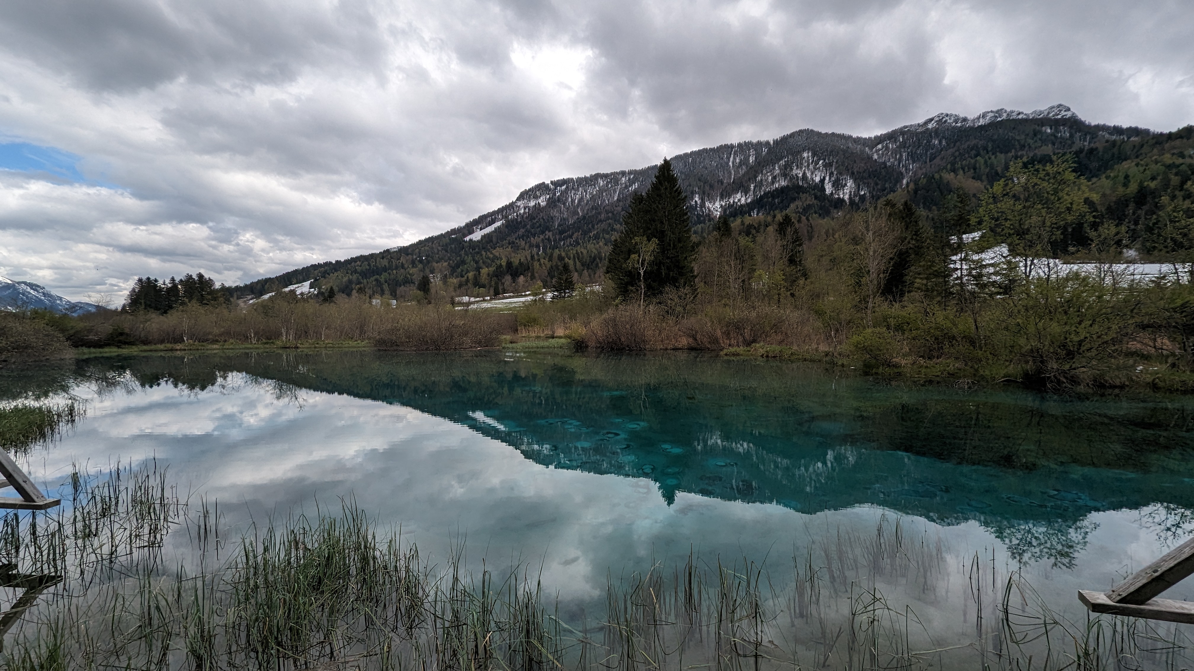 Zelenci, Sava Dolinka Spring