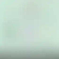 Inhaltsstoffe des natürlichen Zeckenschutz