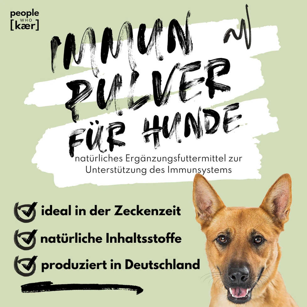 Benefits des Immun Pulvers für Hunde