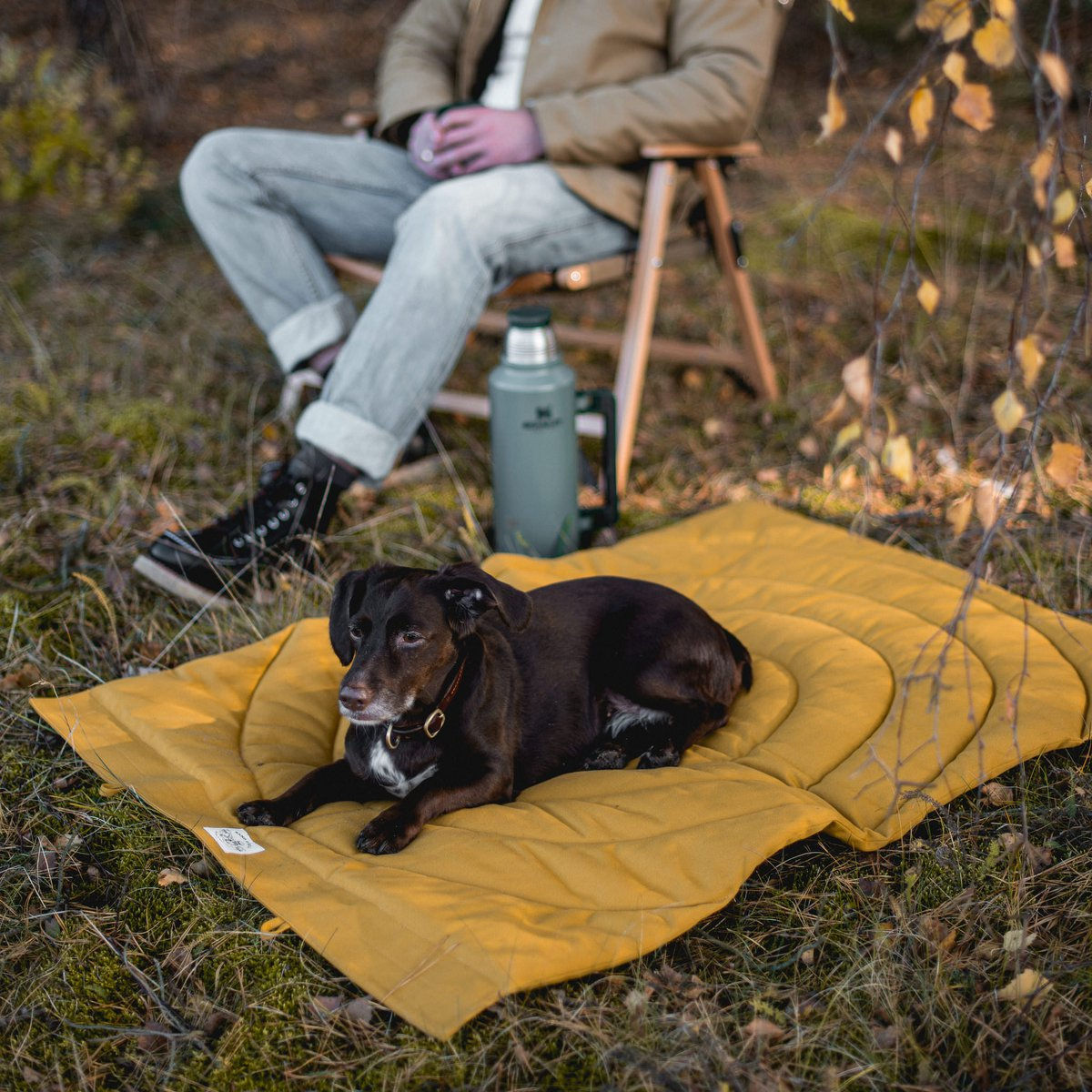 Ein Hund liegt auf der Hundereisedecke neben einem Mann der auf einem Campingstuhl sitzt
