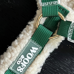 Detail vom Hundegeschirr in Nahaufnahme