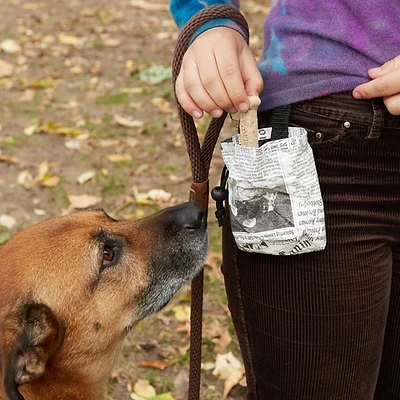 Kobe by Kikkerland Leckerlibeutel Hunde Fake News