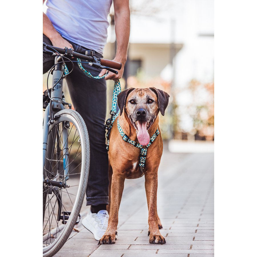 Hey Lana | Premium Hundegeschirr