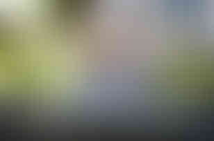 Beagle trinkt aus dem Hundenapg Rocky Jr.