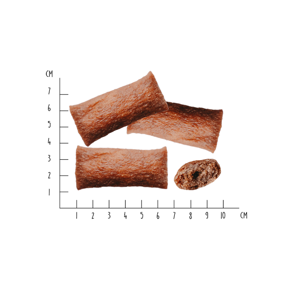 VEGDOG | Hundefutter Vegan | Hunde Dentalpflege | Dentals