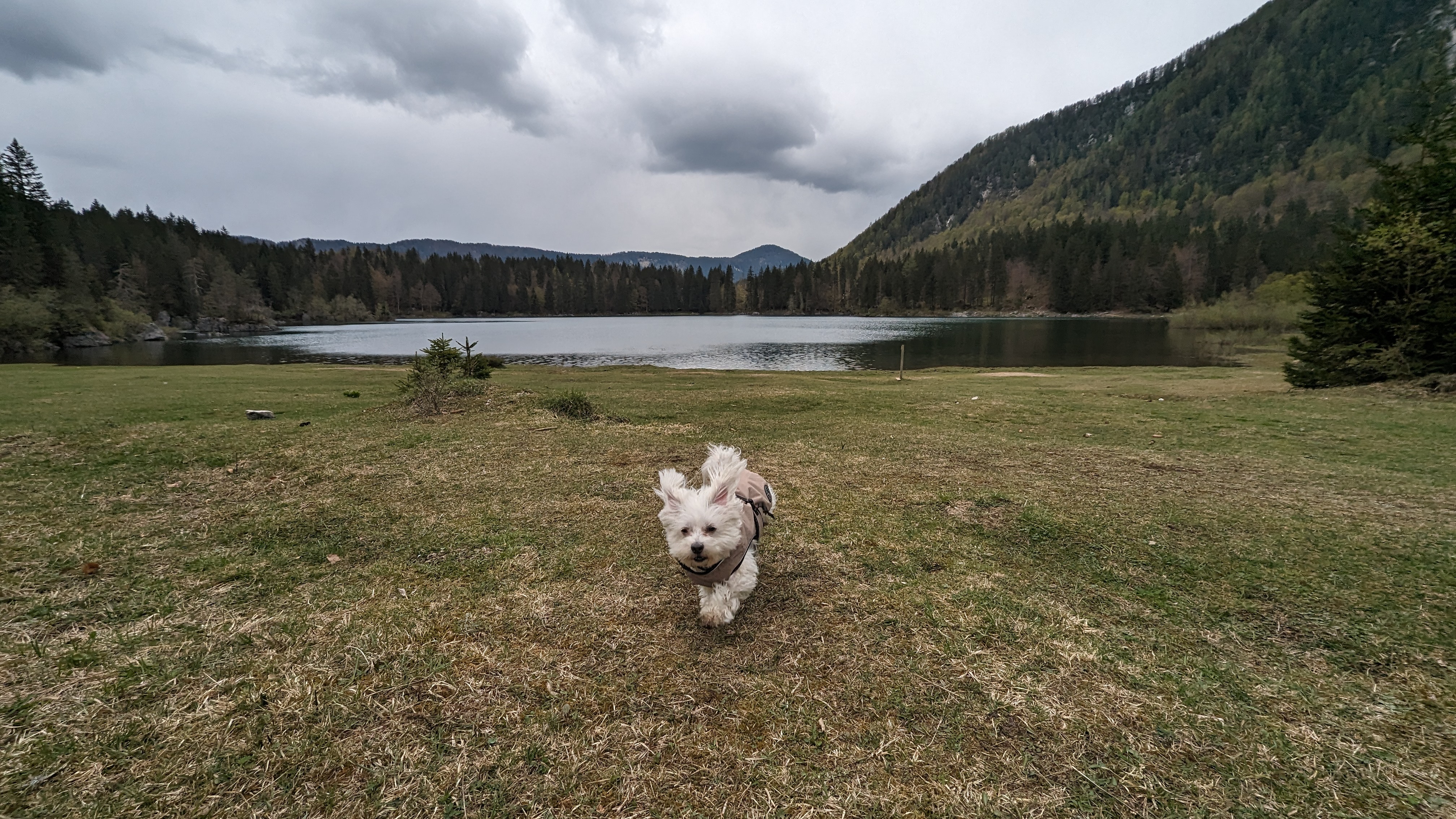 Lago del Predil