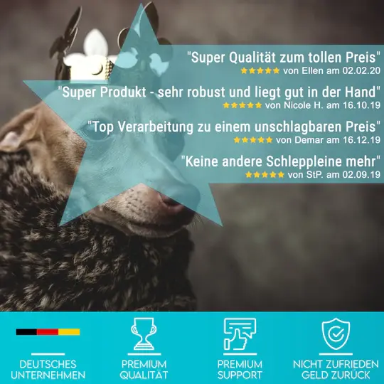 HUND IST KÖNIG | Schleppleine | 10 m