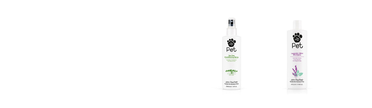 Hundeshampoo bei WauHAUS