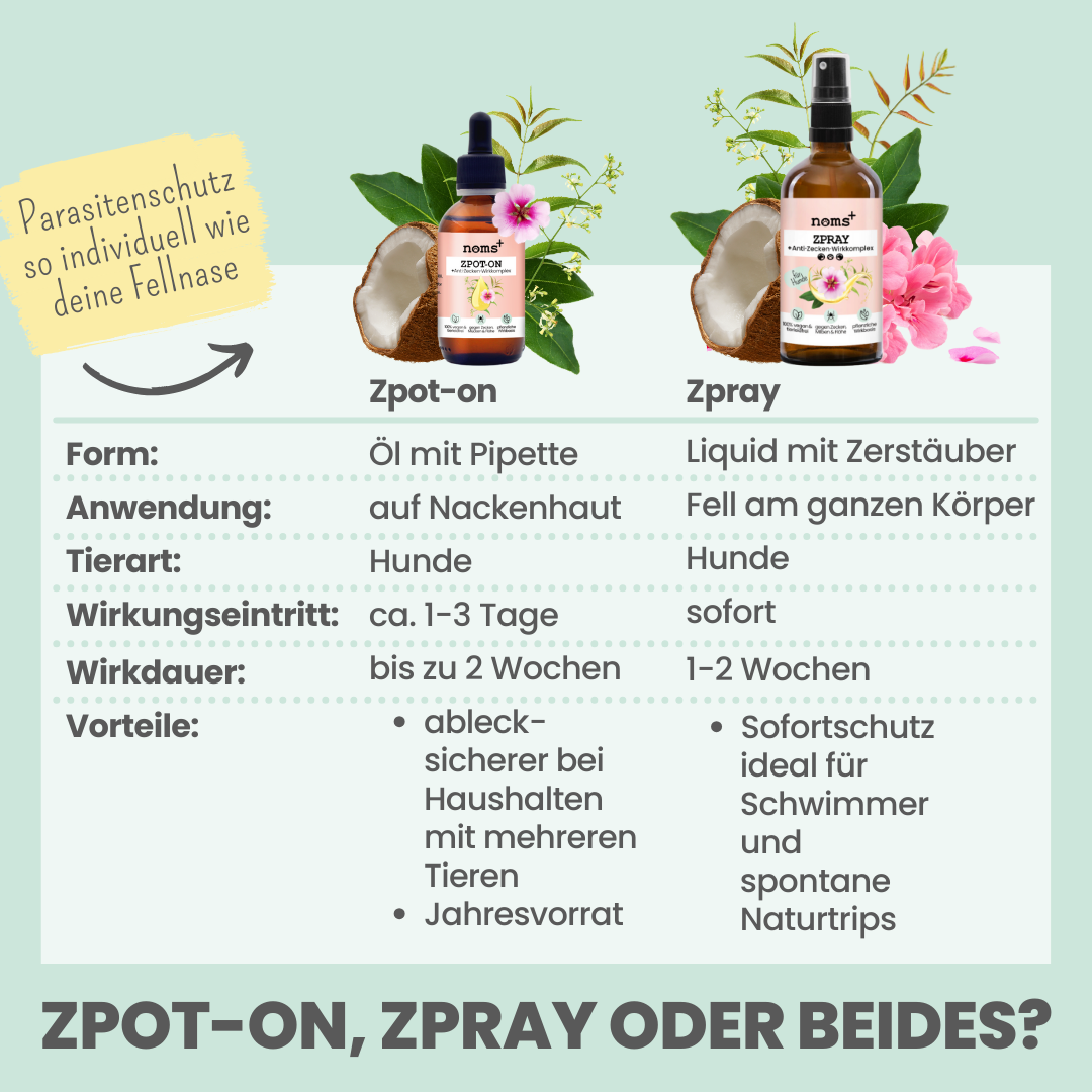 Beschreibung für zpray