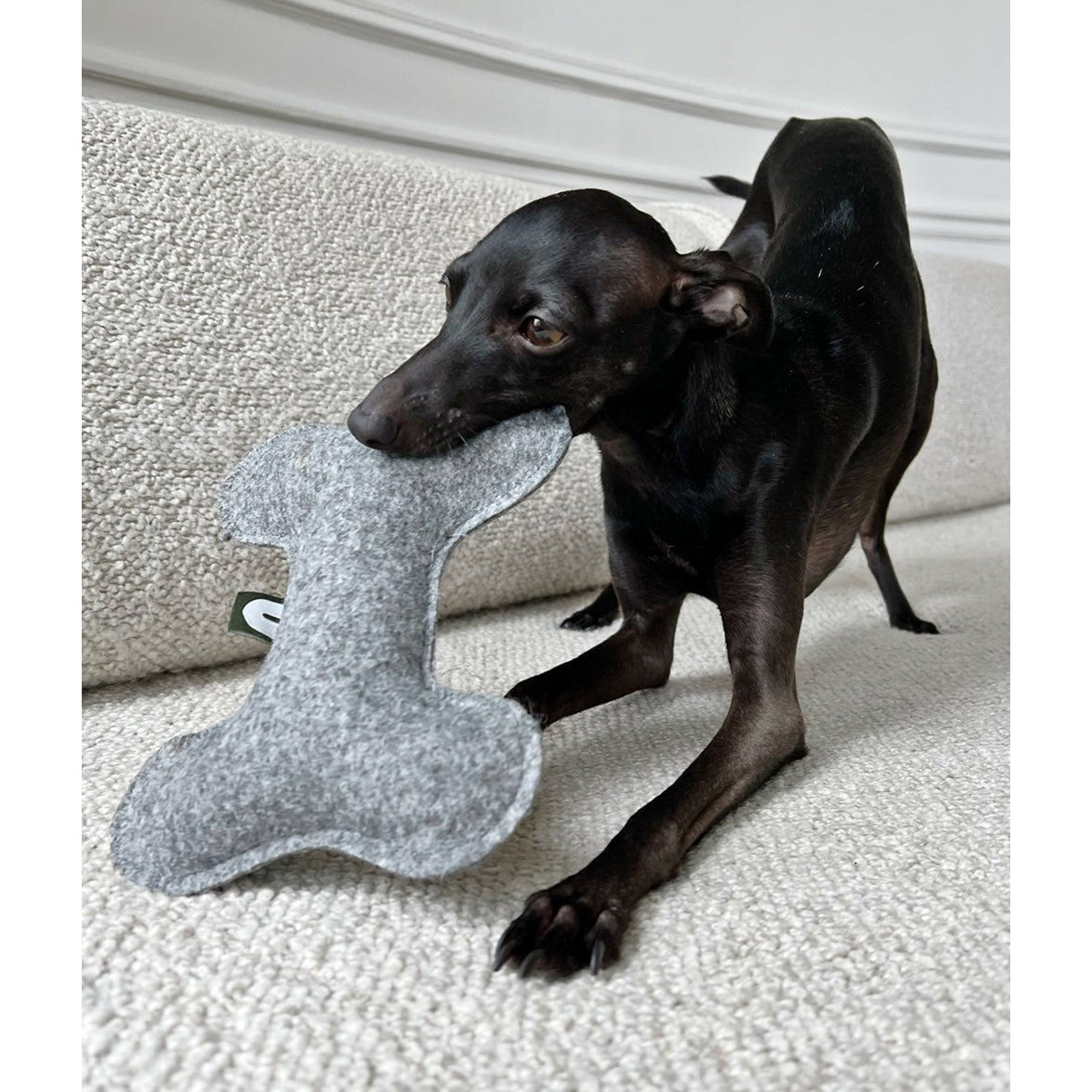 Cafide | Hundespielzeug | Knochen Grau | Nachhaltig