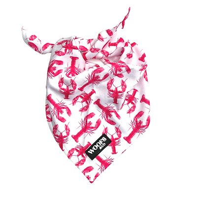 Woofs & Co. | Hunde Bandana