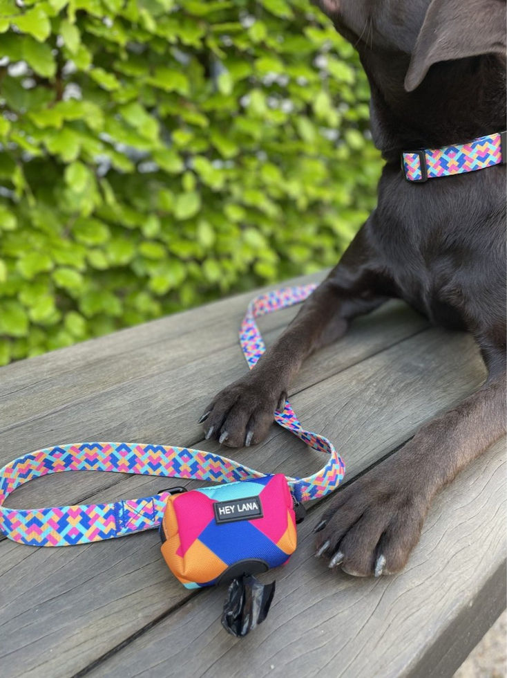 Hund mit Kotbeutelspender Heißer Scheiß von Hey Lana