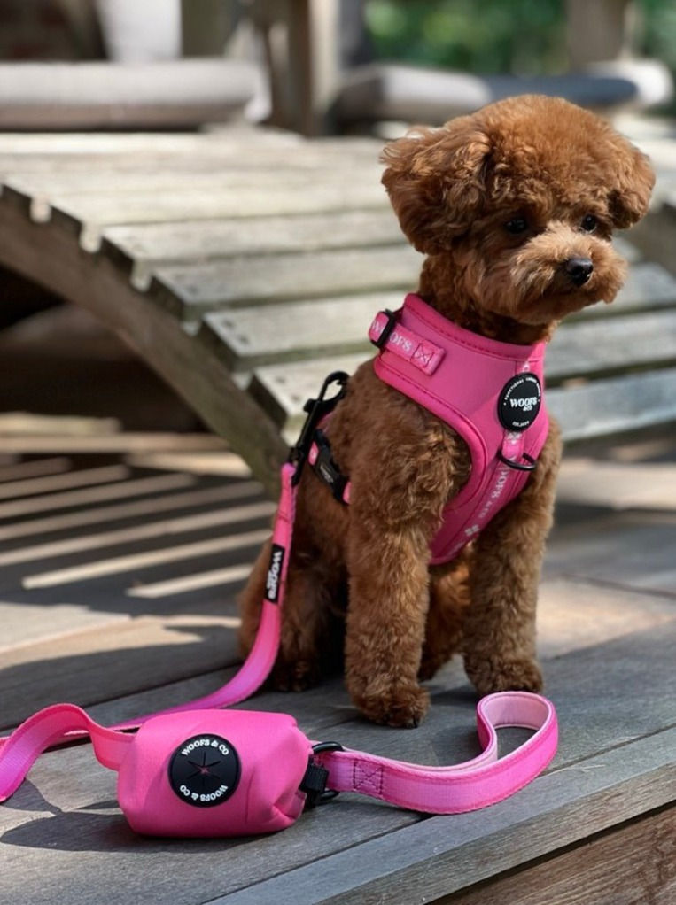Woofs & Co. | Hundegeschirr