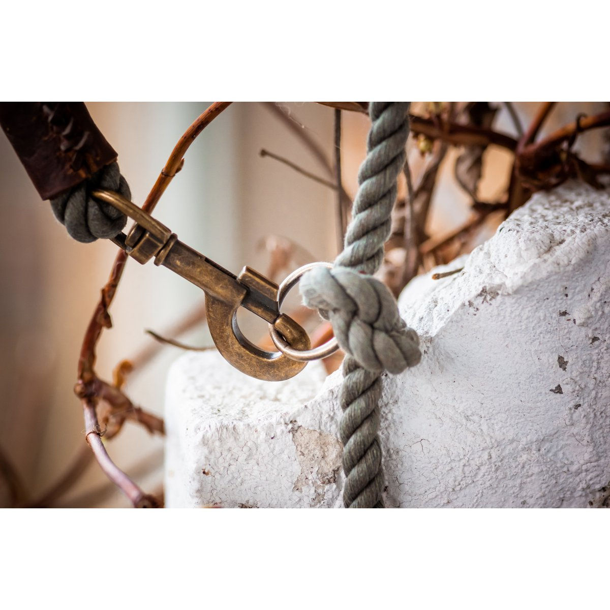 Cooper & Quint | Hundeleine Tau | verstellbare Hundeleine | Grau