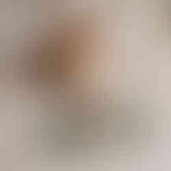 Ein kleiner Hund sitzt vor der Napfunterlage mit gefülltem Futternapf darauf