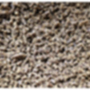 Spirit of Wild | Hunde Leckerli Soft | Rindfleisch Bits Soft | 100 g