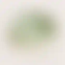 Grüner Anti Schlingnapf von Pawness