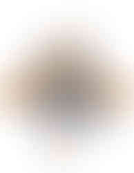 Hundespielzeug Fledermaus von Minifeet