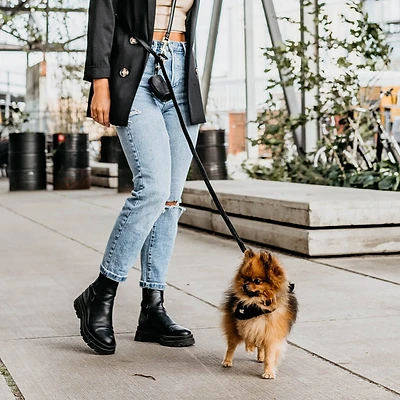 DOGA | Hunde-Bandana | Black | verschiedene Größen