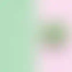 Darmpflege Drops Benefits von Tierliebhaber