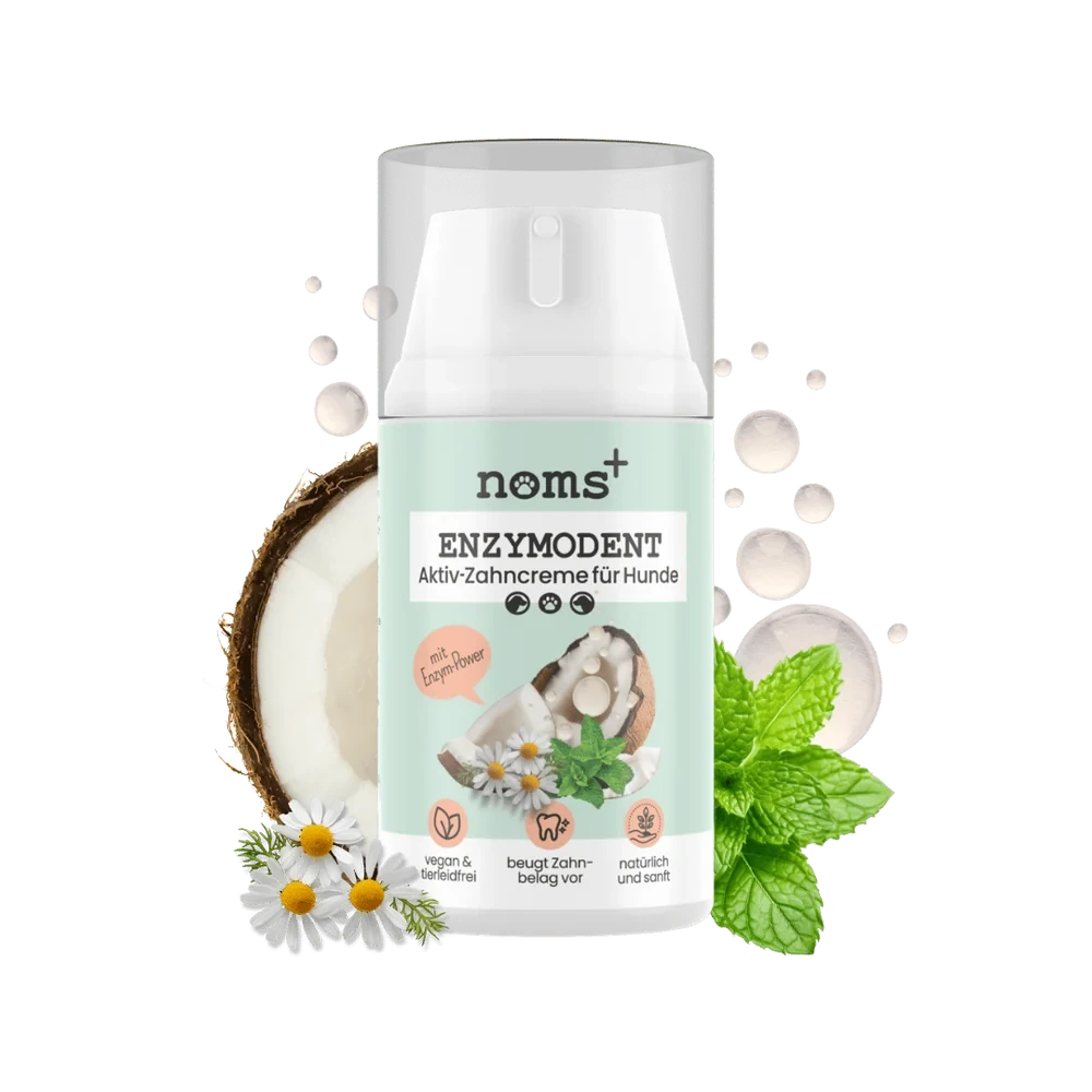 noms+Enzymodent Aktiv-Zahncreme für Hunde
