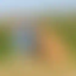 Hund sitzt mit Frau in der Natur