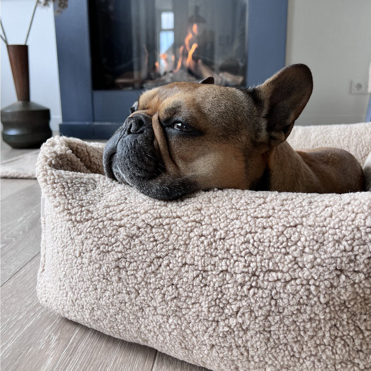 LABONI | Hundebett | Hundebett Plüsch | Teddy Beige